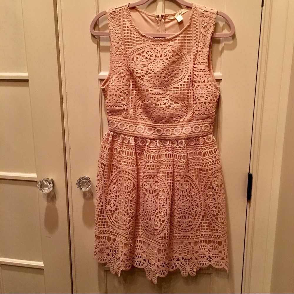 Nude Pink Miami Lace Fit and Flare Dress - NWT